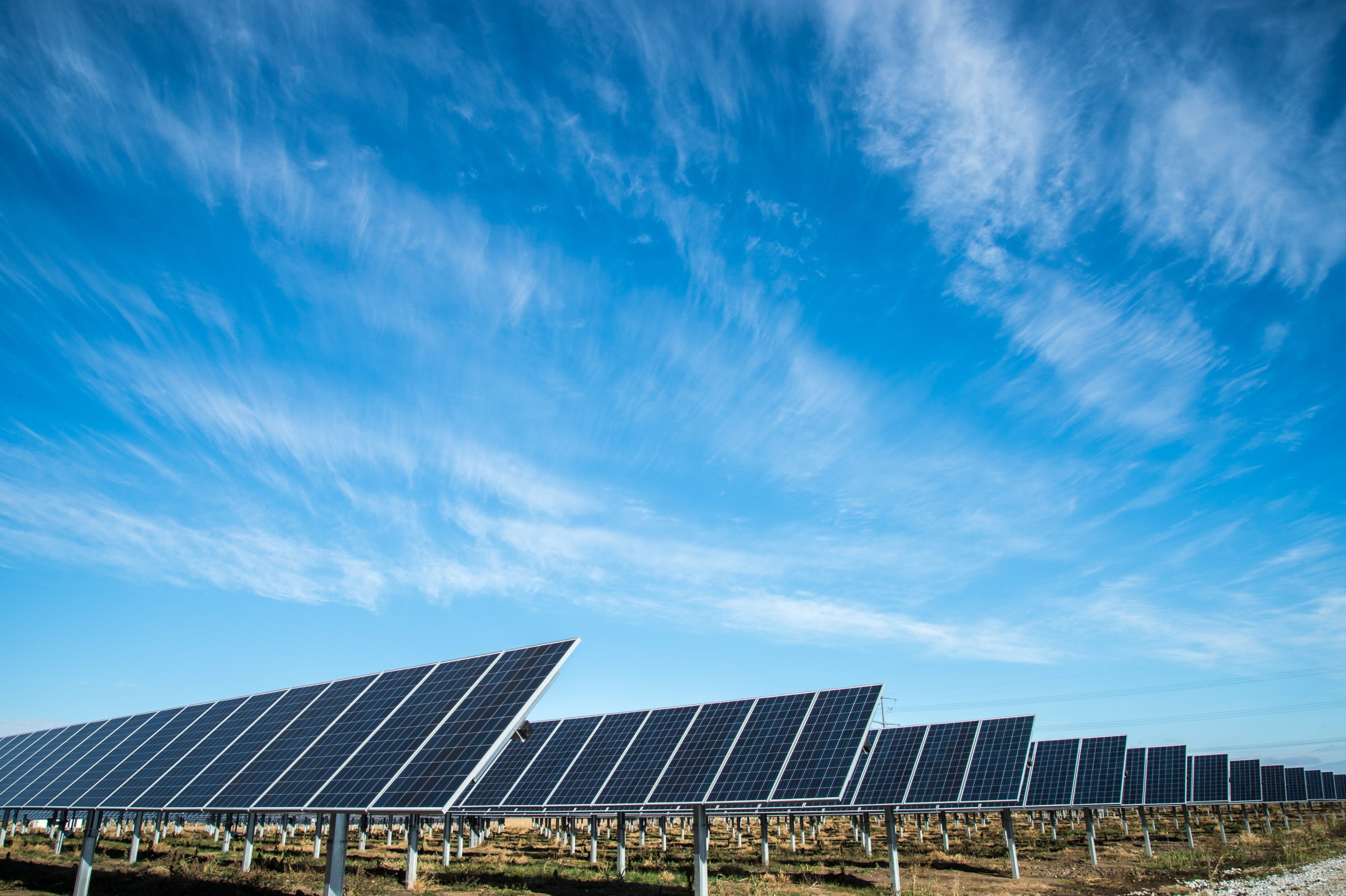 WHY BUSINESSES SWITCH FROM ELECTRICITY TO SOLAR